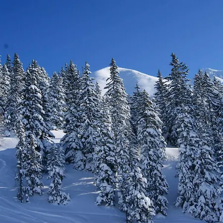 My Mountain Marthe Hotel 3*